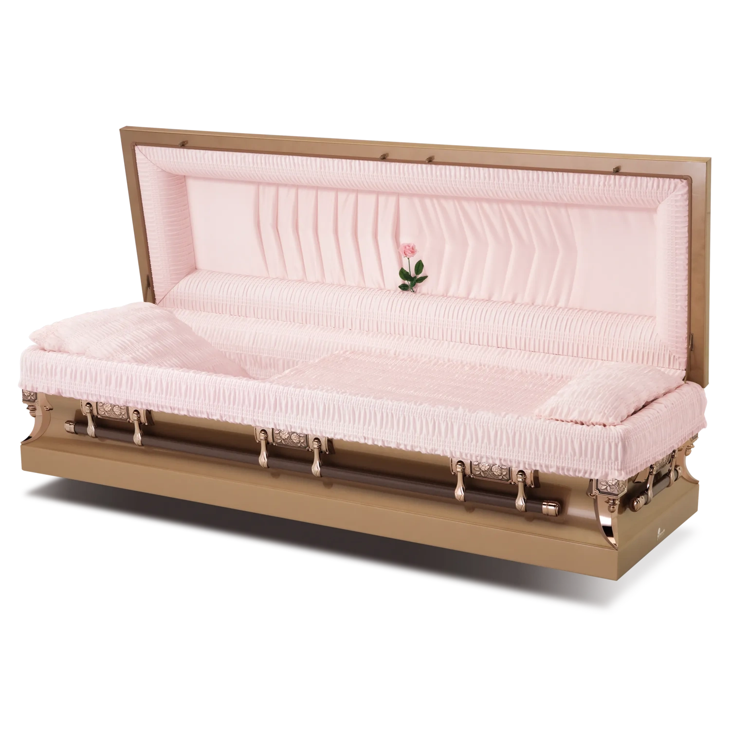H79 Alameda Rose