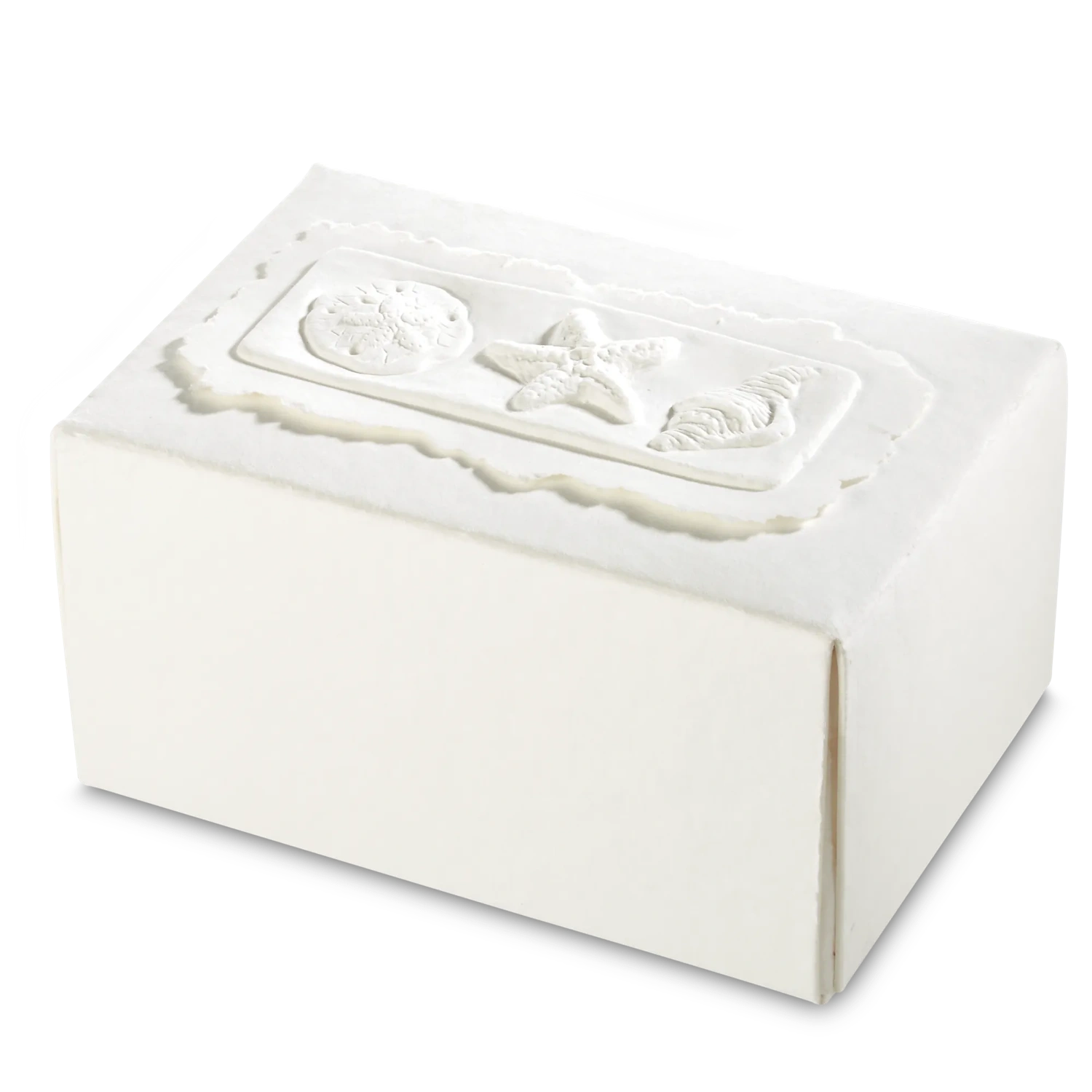 Seaward Reflections Biodegradable Urn