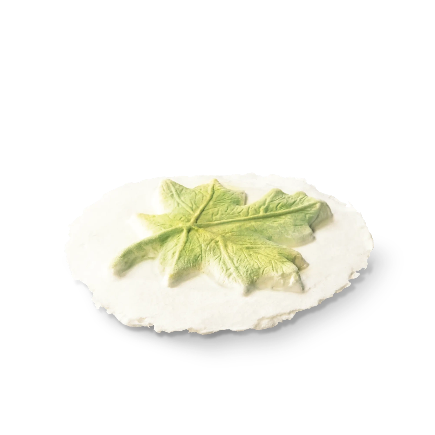 Leaf Token Biodegradable