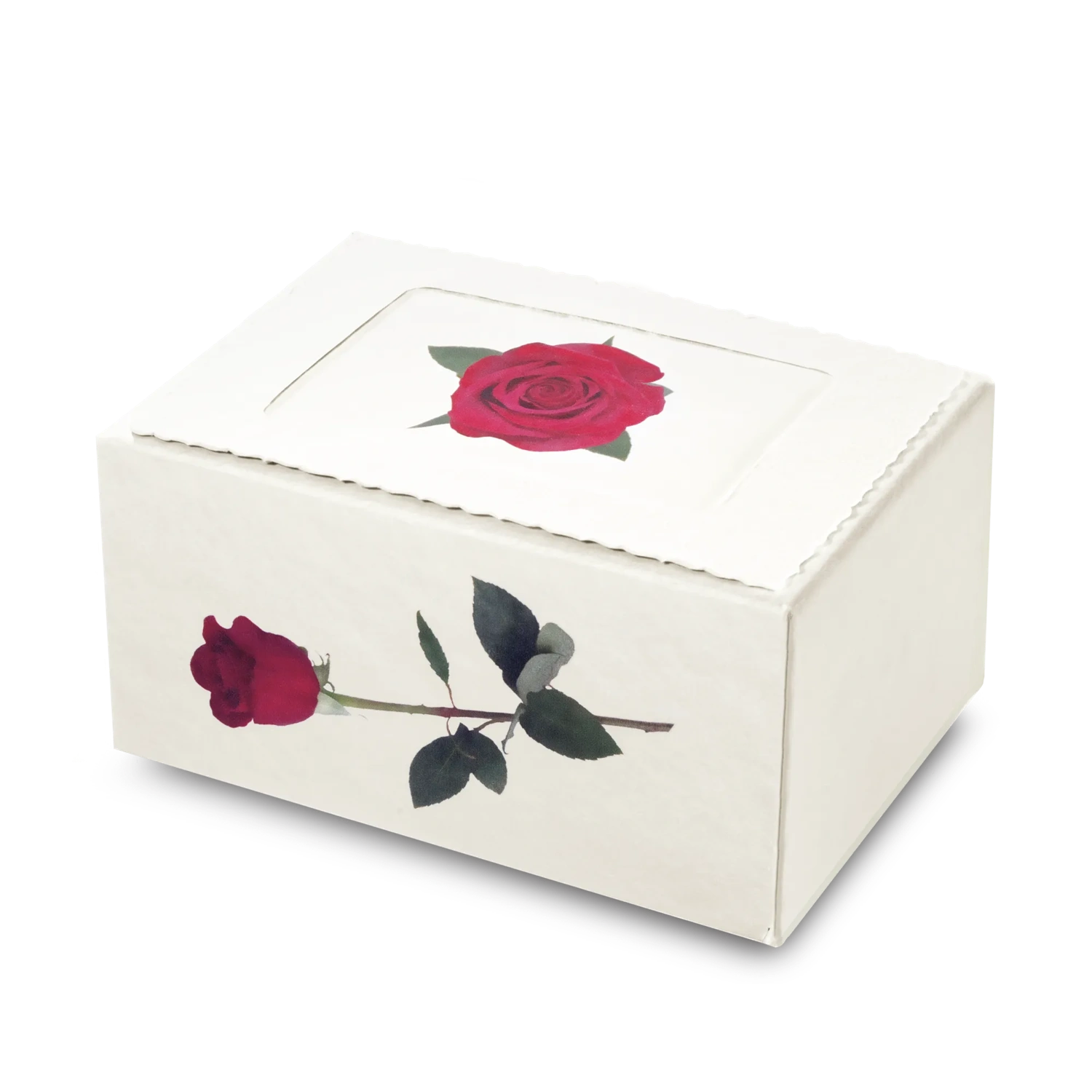 Cherished Reflections Biodegradable Urn