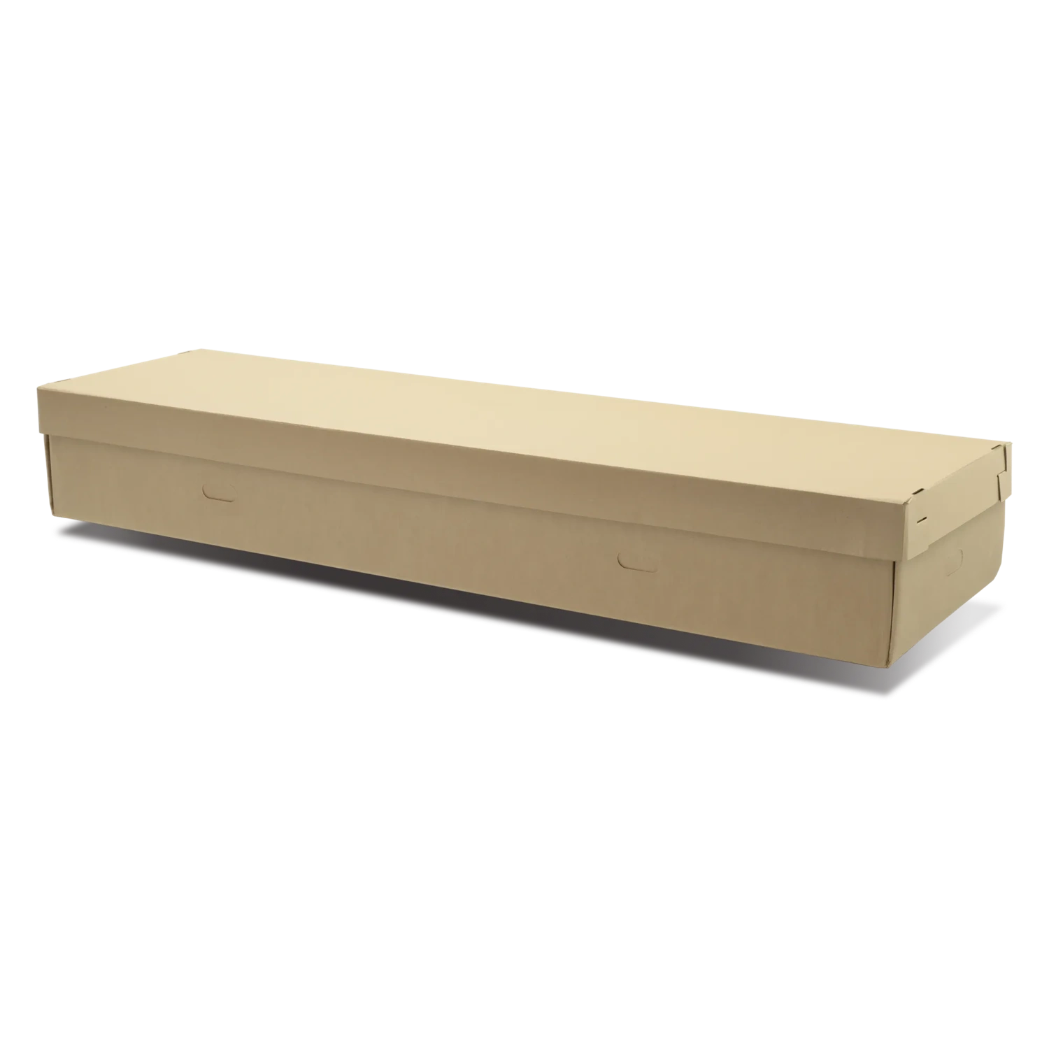 NewPointe Cardboard Cremation Container